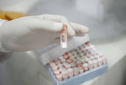 Беременность: сдаем анализы. 8742z.jpg Беременность: сдаем анализы. 8742z.jpg