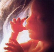 Право на аборт или право на жизнь?. 9211z.jpg