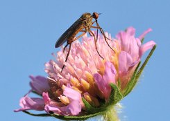 Это зловещее ВСД&hellip;. 9400z.jpg